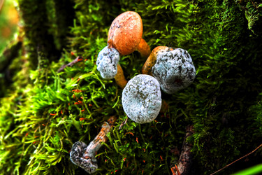 Similar image 18511705