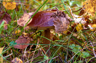 Similar image 18511707