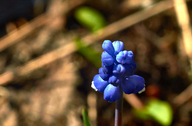 Similar image 18511713