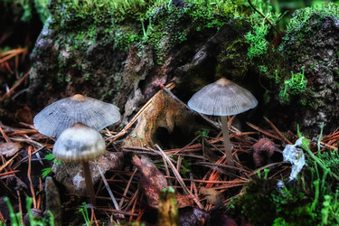 Similar image 18511719