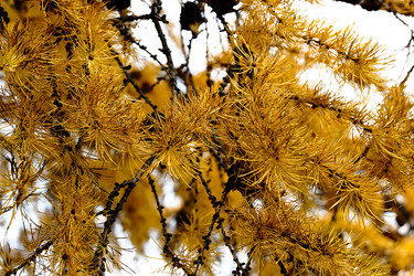 Similar image 18511720