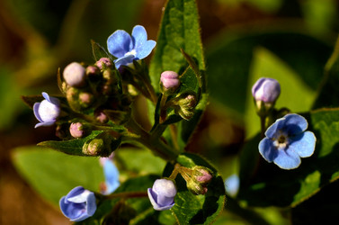 Similar image 18511722