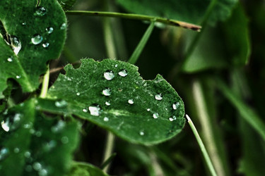 Similar image 18511723