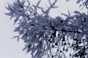 Similar image 18511725