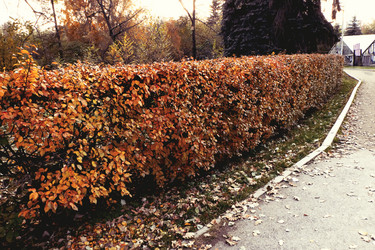 Similar image 18511750