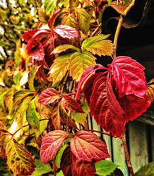 Similar image 18511753