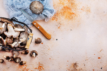 Similar image 18151104