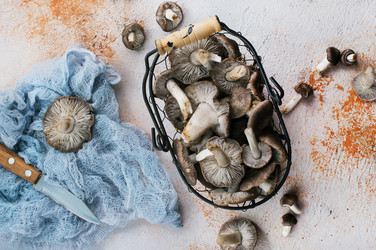 Similar image 18151107