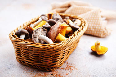 Similar image 18151211