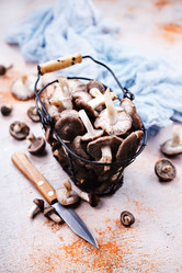 Similar image 18151321