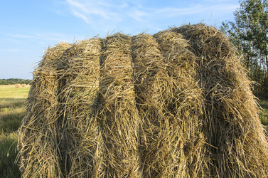 Similar image 18508874