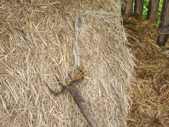 Similar image 18508868