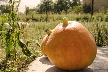 Similar image 18508889