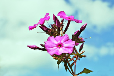 Similar image 18508885