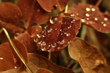 Similar image 18511693