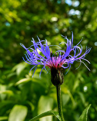 Similar image 18511694