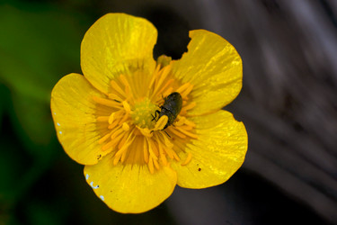 Similar image 18511729