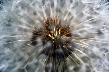 Similar image 18511752