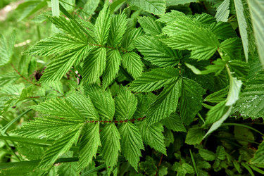 Similar image 18511712