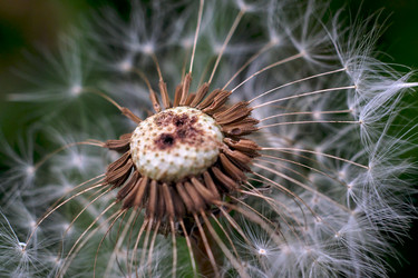 Similar image 18511755