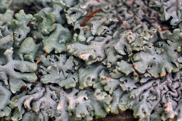 Similar image 18511757