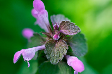 Similar image 18511774