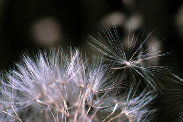 Similar image 18511726