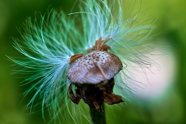 Similar image 18511727