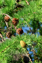 Similar image 18511728