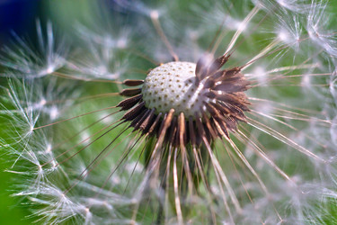 Similar image 18511730