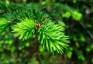 Similar image 18511731