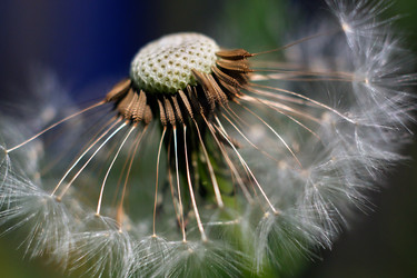 Similar image 18511734