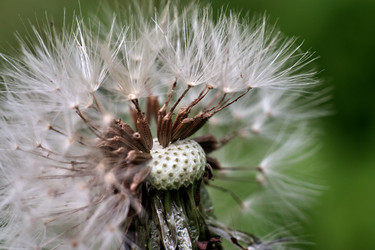 Similar image 18511754