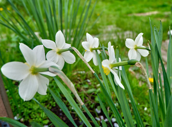 Similar image 18511767