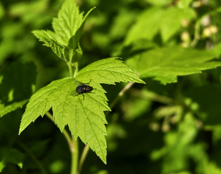 Similar image 18511756