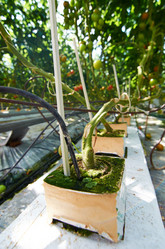 Similar image 18357796