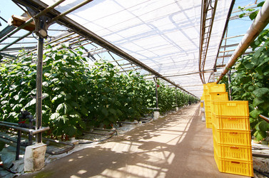 Similar image 18358073