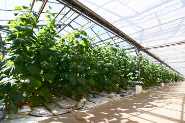 Similar image 18358361