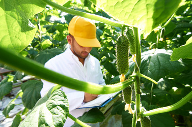 Similar image 18358400