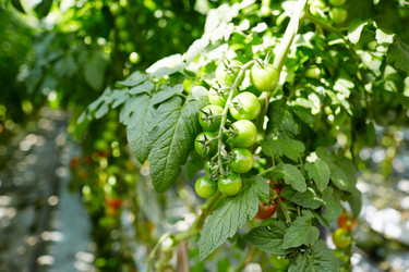 Similar image 18358468