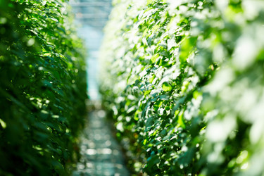 Similar image 18357656