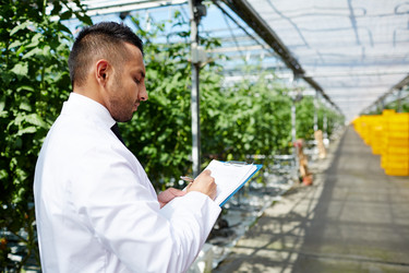 Similar image 18357970