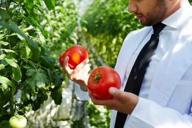 Similar image 18358732