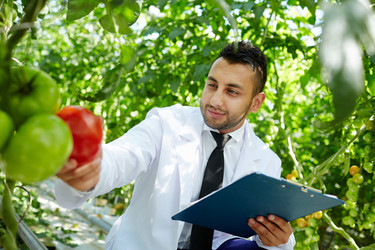 Similar image 18358771