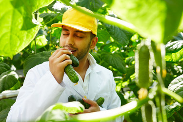 Similar image 18359075