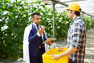 Similar image 18360057