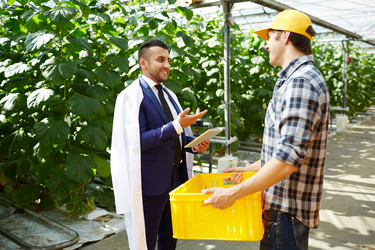 Similar image 18359355