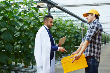 Similar image 18359410