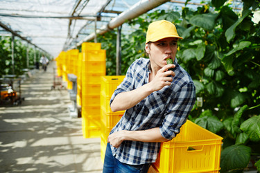 Similar image 18359450