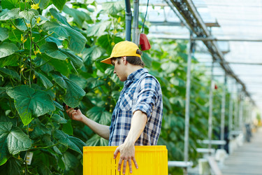 Similar image 18359846